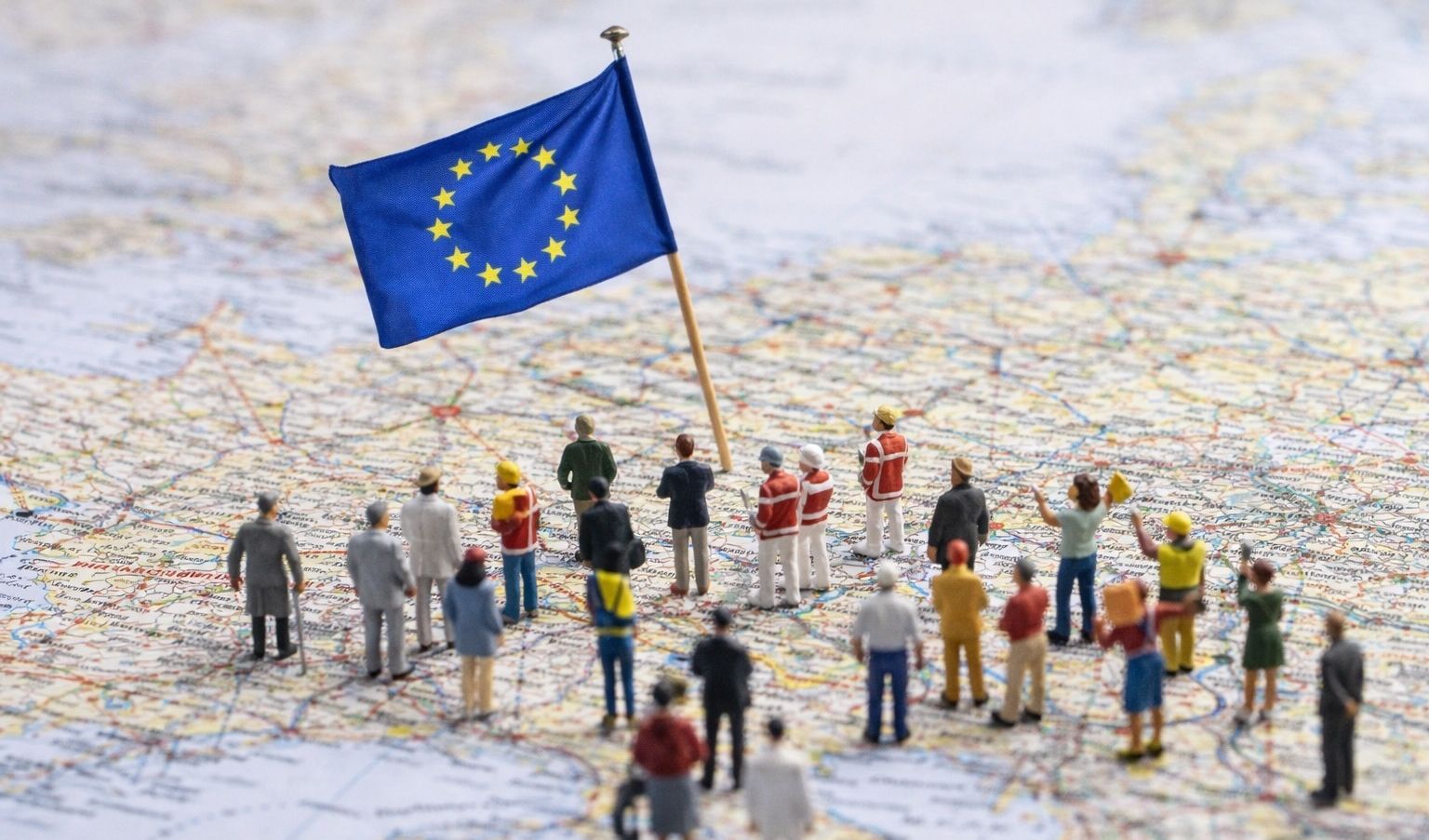 immagine di galleria