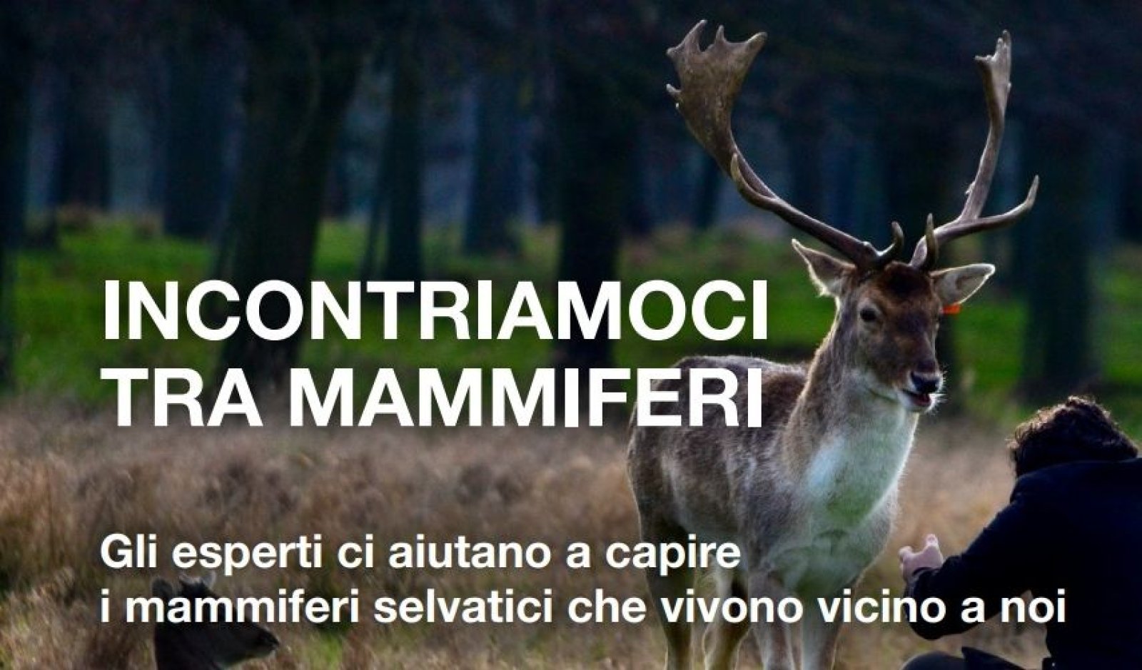 Un'immagine generica segnaposto con angoli arrotondati in una figura.