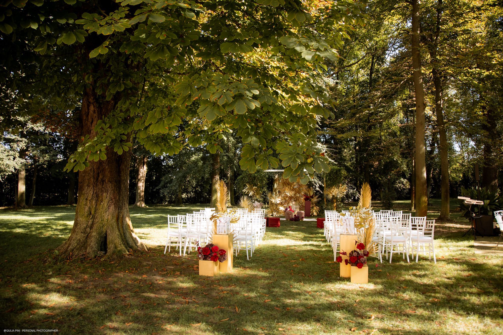 Immagine del carousel