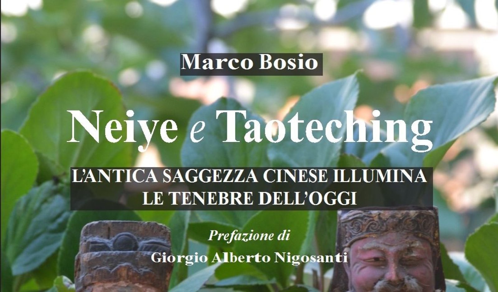 Un'immagine generica segnaposto con angoli arrotondati in una figura.