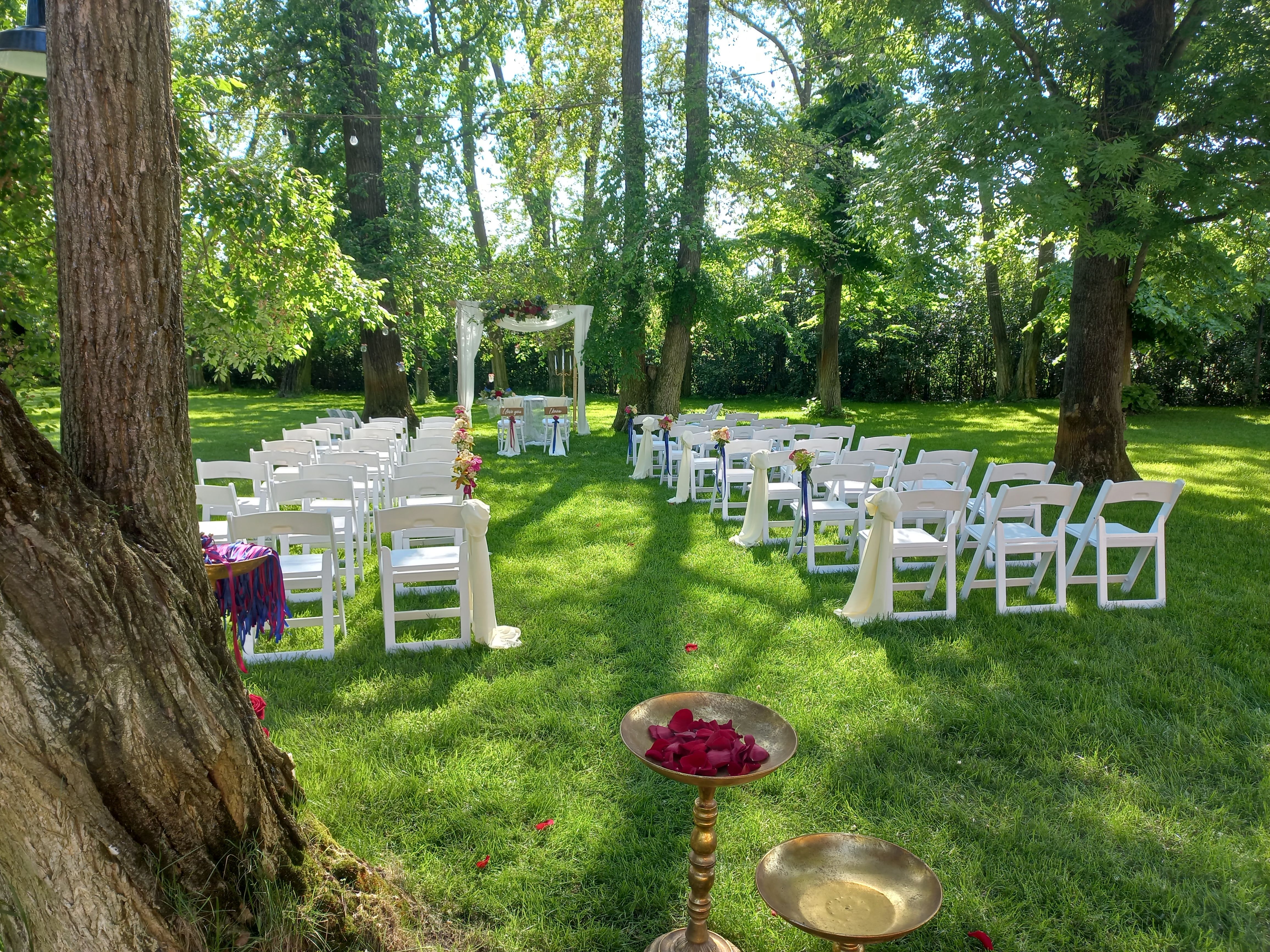 Immagine del carousel