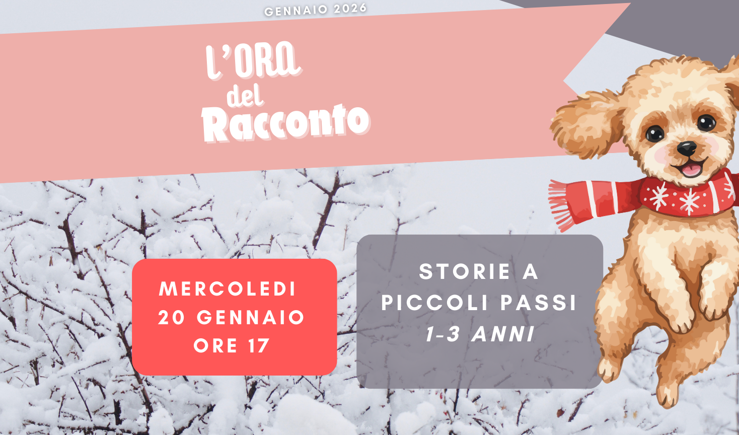 immagine di galleria