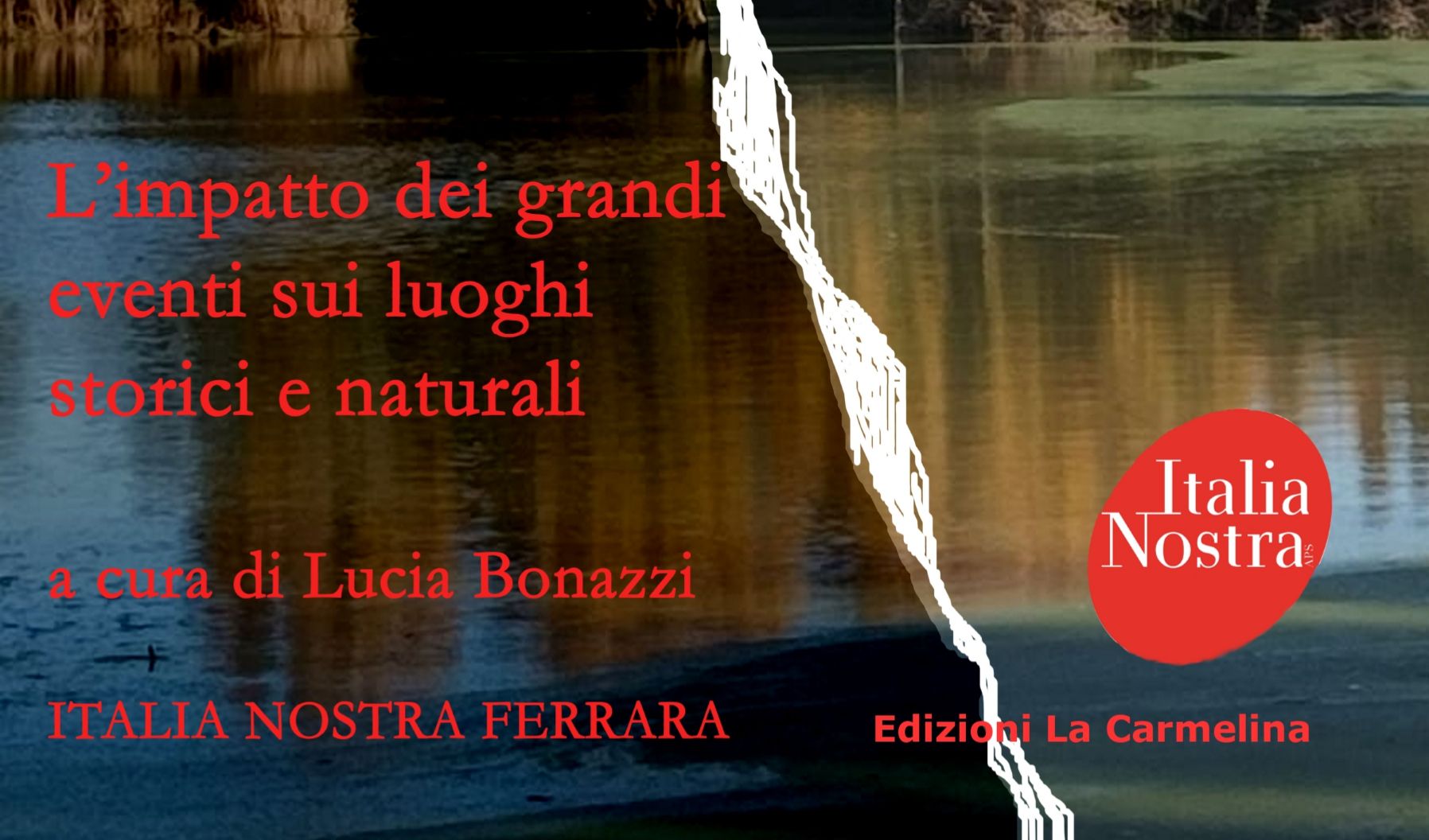 immagine di galleria