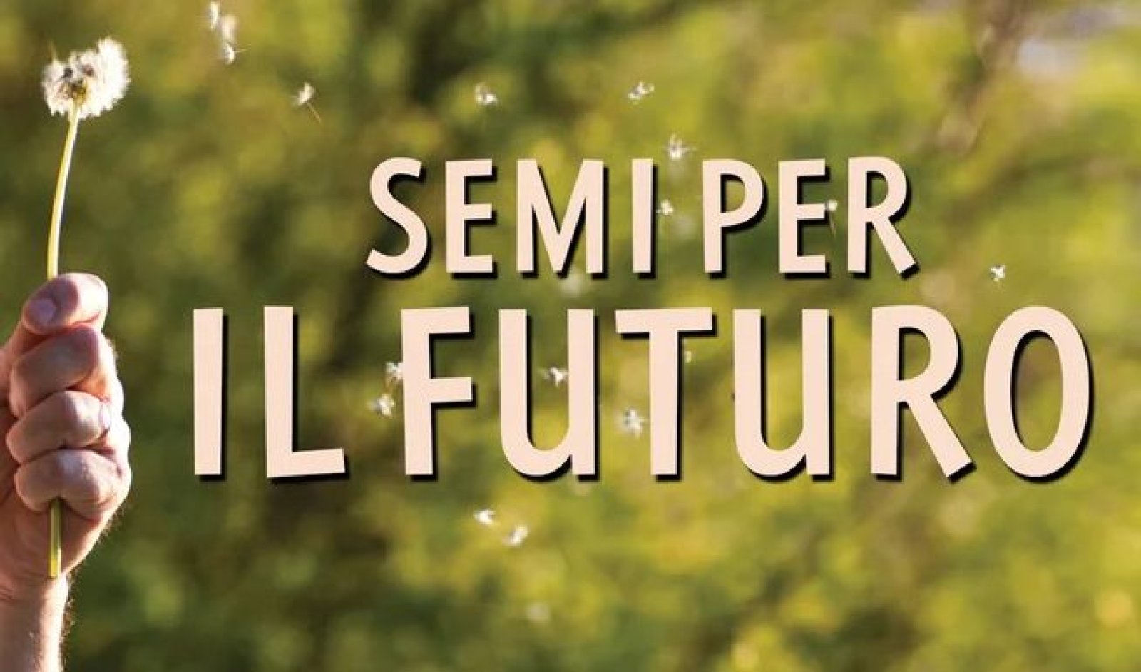 Un'immagine generica segnaposto con angoli arrotondati in una figura.