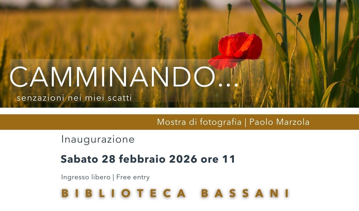 immagine di galleria