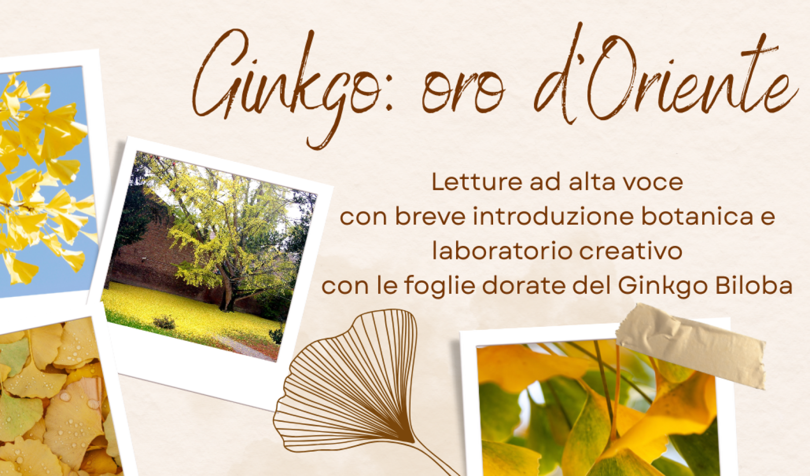 Un'immagine generica segnaposto con angoli arrotondati in una figura.